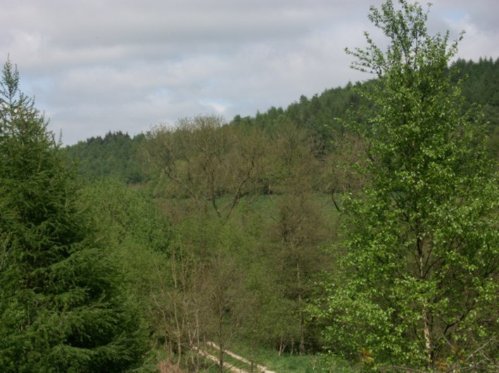 Snuggle up for a real treat in your Dalby Forest Log Cabin