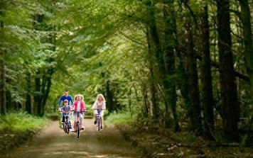 Family Cycling at Dalby
