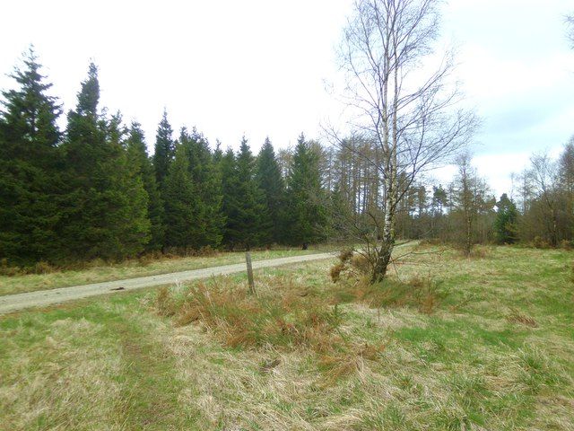 Walking in Dalby