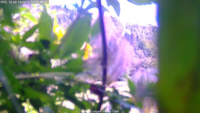 Webcam in Dalby Valley